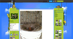 Desktop Screenshot of orlando804.skyrock.com