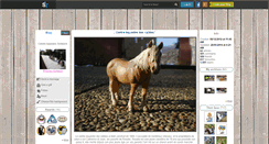 Desktop Screenshot of haras--schleich.skyrock.com