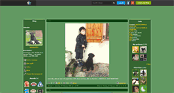 Desktop Screenshot of labrador0201.skyrock.com