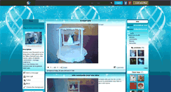 Desktop Screenshot of idee-cadeau-original.skyrock.com