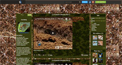 Desktop Screenshot of fourmis-carnivore.skyrock.com