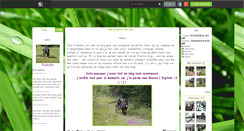 Desktop Screenshot of nufnufstar.skyrock.com