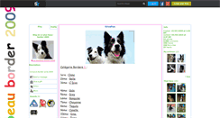 Desktop Screenshot of le-plus-beau-border-2009.skyrock.com