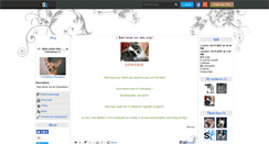 Desktop Screenshot of chihuahua-chihuahua.skyrock.com