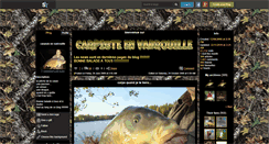 Desktop Screenshot of carpisteenvadrouille.skyrock.com