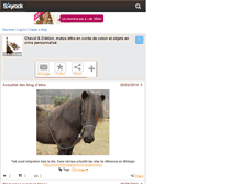 Tablet Screenshot of chevalcreation.skyrock.com