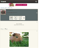 Tablet Screenshot of guineapigs.skyrock.com