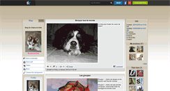 Desktop Screenshot of chiens-en-folie.skyrock.com