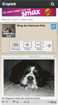 Mobile Screenshot of chiens-en-folie.skyrock.com