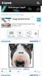 Mobile Screenshot of image-bullterrier.skyrock.com