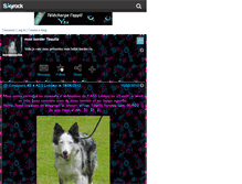 Tablet Screenshot of bordercollie88.skyrock.com