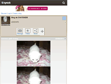 Tablet Screenshot of chaton205.skyrock.com