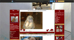 Desktop Screenshot of chowchow-sharpei-chiots.skyrock.com