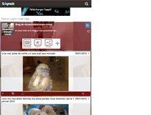 Tablet Screenshot of chowchow-sharpei-chiots.skyrock.com