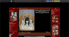 Desktop Screenshot of dogattitude.skyrock.com