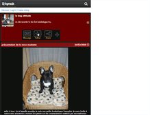 Tablet Screenshot of dogattitude.skyrock.com