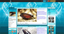 Desktop Screenshot of cichliclub.skyrock.com