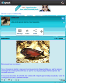 Tablet Screenshot of cichliclub.skyrock.com