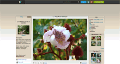 Desktop Screenshot of jade952.skyrock.com