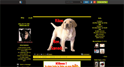 Desktop Screenshot of feline-imagesblog.skyrock.com