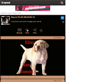 Tablet Screenshot of feline-imagesblog.skyrock.com