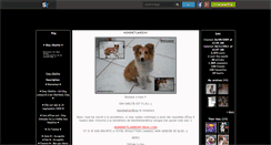 Desktop Screenshot of emy-sheltie.skyrock.com