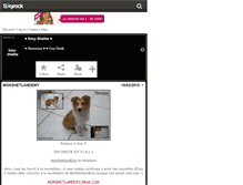 Tablet Screenshot of emy-sheltie.skyrock.com