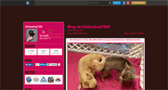 Desktop Screenshot of chihuahua7500.skyrock.com