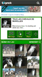 Mobile Screenshot of chevaux-du-chb.skyrock.com