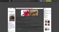 Desktop Screenshot of chiots-american-staff.skyrock.com