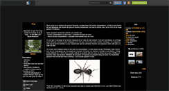 Desktop Screenshot of beatrick.skyrock.com