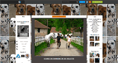 Desktop Screenshot of domainedevillette.skyrock.com