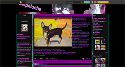 Desktop Screenshot of belpeluche1.skyrock.com