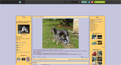 Desktop Screenshot of gogozinzing.skyrock.com