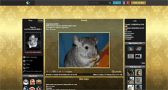 Desktop Screenshot of leschinchillasdenathy.skyrock.com