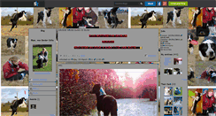 Desktop Screenshot of eben-bordercollie.skyrock.com