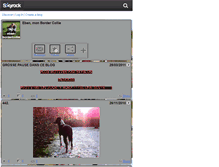 Tablet Screenshot of eben-bordercollie.skyrock.com