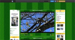 Desktop Screenshot of ferdipigeons.skyrock.com