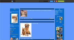 Desktop Screenshot of chien-chat.skyrock.com