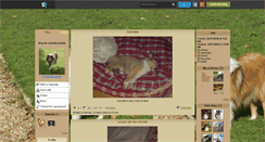 Desktop Screenshot of cannelle-sheltie.skyrock.com