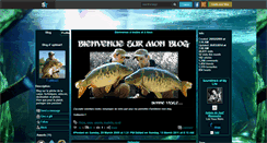 Desktop Screenshot of optimat1.skyrock.com