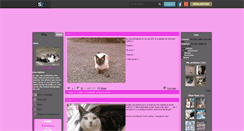 Desktop Screenshot of chatsmania.skyrock.com