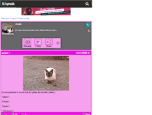 Tablet Screenshot of chatsmania.skyrock.com