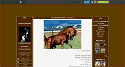 Desktop Screenshot of chevalxconcours.skyrock.com