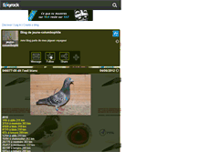 Tablet Screenshot of jeune-colombophile.skyrock.com