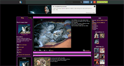 Desktop Screenshot of angora-tigre.skyrock.com