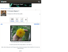 Tablet Screenshot of choixpeau-magique.skyrock.com