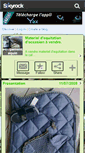 Mobile Screenshot of equipement-equin.skyrock.com