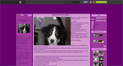 Desktop Screenshot of bouvier-bernois-elevage.skyrock.com