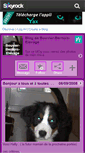 Mobile Screenshot of bouvier-bernois-elevage.skyrock.com